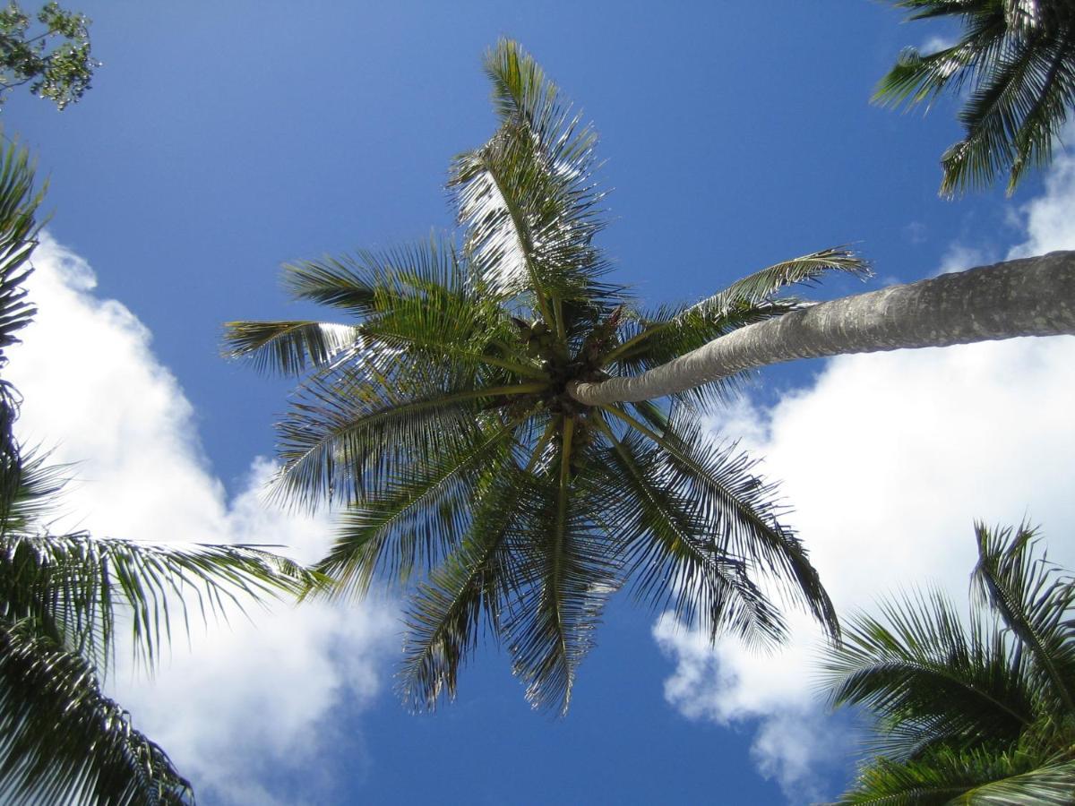 Palm-Covered House In The Tropical -Casa Oli لاس غاليراس المظهر الخارجي الصورة