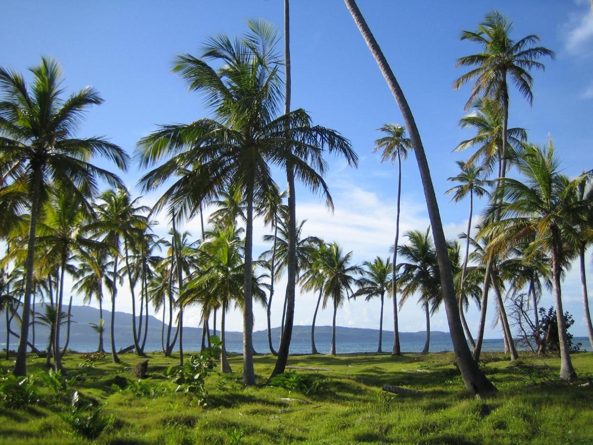 Palm-Covered House In The Tropical -Casa Oli لاس غاليراس المظهر الخارجي الصورة